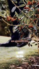 Cobra Kai : Terry Silver est-il condamné ?