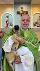 Padre resgata cães de rua e promove adoção durante missas
