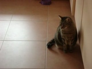 Ma gamelle est vide!