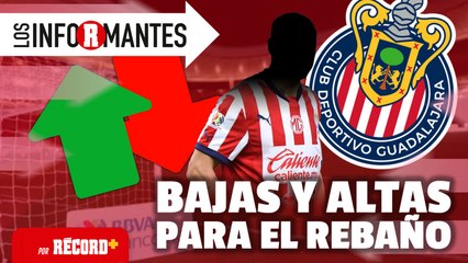 BAJAS y ALTAS de CHIVAS en el inicio del MERCADO de FICHAJES | EN VIVO