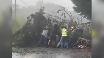 tn7-siete-rutas-afectadas-por-lluvias-de-las-ultimas-horas-041224