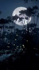 jungle Zippy ki saitaani محالات إيجار "حمص" #مصراوي #مقتل_صاحب_قهوة_اسوان #رحيل_صاحب_قهوة_اسوان #حادث_مقتل_صاحب_قهوة_اسوان #العدالة_لصاحب_قهوة_اسوان #اسوان_تفقد_صاحب_القهوة #قهوة_اسوان_تودع_صاحبها #ماساة_مقتل_صاحب_القهوة # #shorts