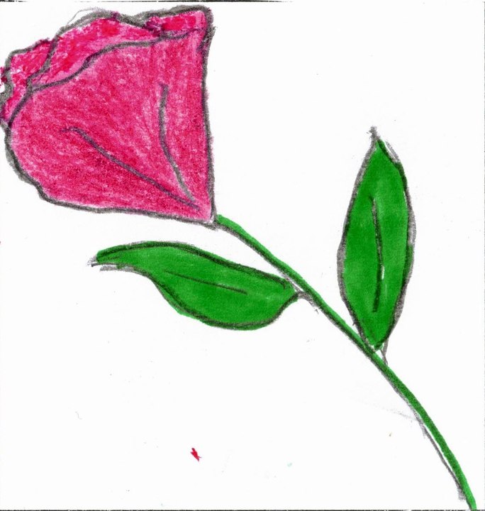 La fleur - Nadine
