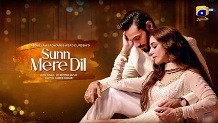 Sunn Mere Dil Episode 19 Teaser - 4th December 2024 - Har Pal Geo(360P)