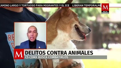 La CdMx combate los delitos contra los animales a través del C5