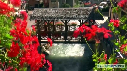 Tg Preview - Puntata del 04/12/2024