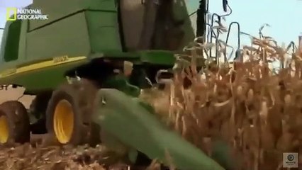 Conséquences d'un Monde Sans Pétrole _ Documentaire National Geographic