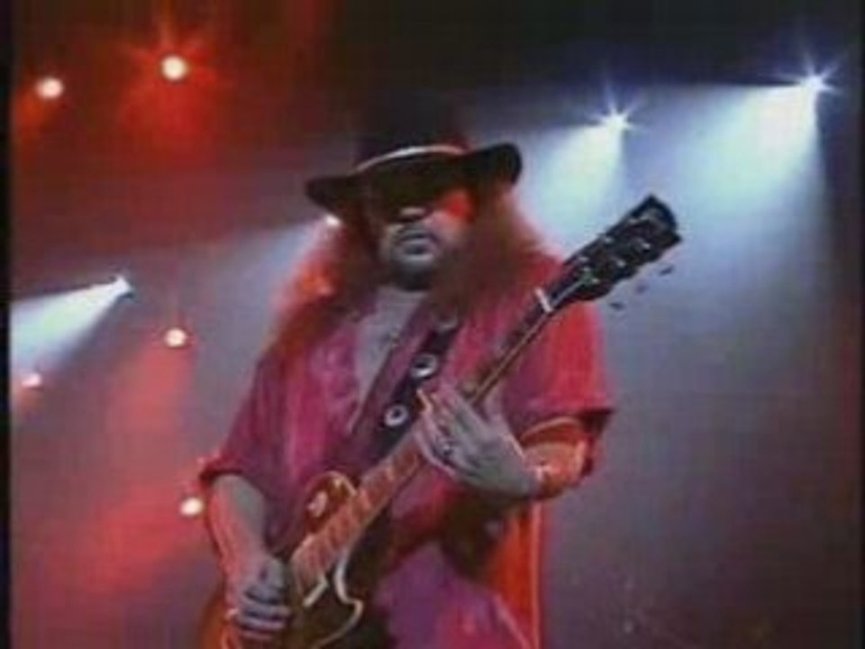 Lynyrd Skynyrd - You Got That Right (Live 1998)