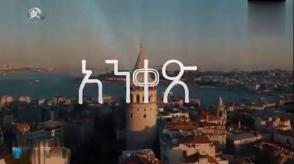 Ankes 39_2024-12-04_22-14-42