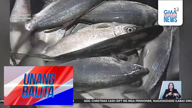 Presyo ng bangus sa ilang palengke sa Dagupan, tumaas dahil sa kakaunting supply | Unang Balita
