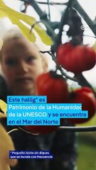 Vivir aislados en una isla