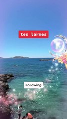 Le bonheur ne dépend pas de l'endroit où on vit mais avec qui on est #motivation #success #sagesse