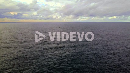 Bondi Beach Coast With Humpback Whale Breaching - Whale Watching In NSW, Australia