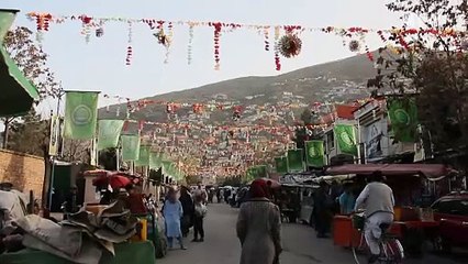 Bread & Roses : le combat des femmes afghanes | movie | 2024 | Official Trailer