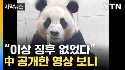 [자막뉴스] "검사 결과 정상"...푸바오 근황 공개한 中 / YTN