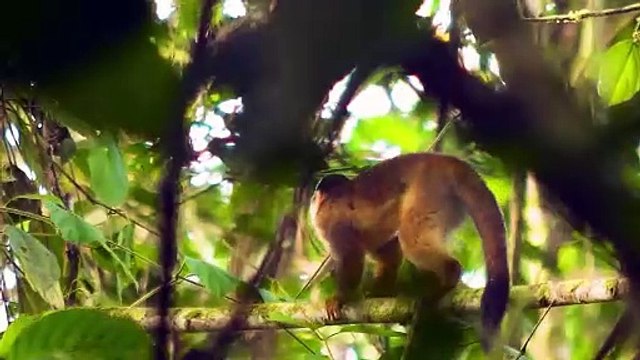 ext-Marina Bahía Golfito reconocida internacionalmente por iniciativa en Centro de Investigación Científica-041224