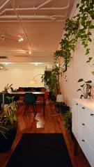 Qode design premium apartment is launched in Hyderabad