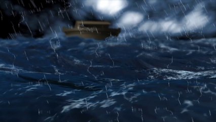 NOAH'S ARK THE ANIMALS