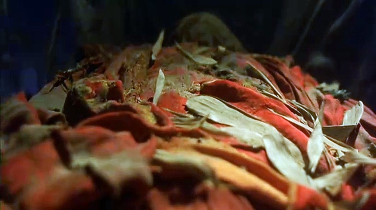 Los cazavampiros de Tsui Hark (2002)