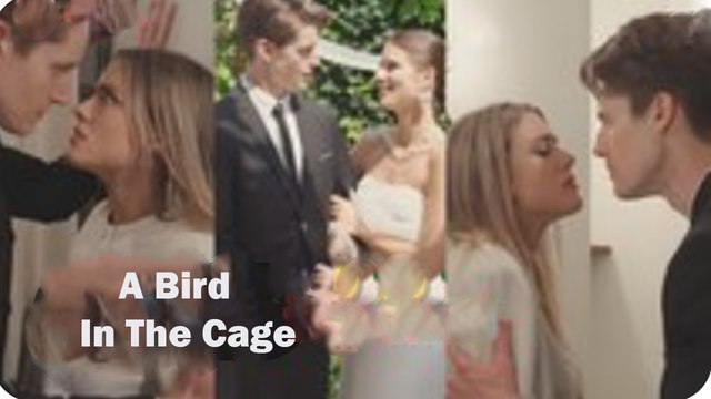 A Bird In The Cage Full