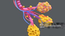 first new treatment in 50 yrs for asthma &copd"coud be a game changer"