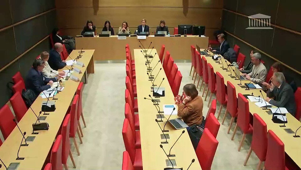 Manquements des politiques de protection de l’enfance : Auditions diverses - Mercredi 4 décembre 2024