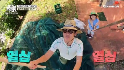 [선공개] '올리브 비가 내려와~↗' 올리브를 전체 수확하라! 갑작스러운 이탈리아 장모님의 미션!?