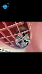 Sinooutput twin propeller Azimuth thruster and bow thruster application from 500-6000hp./Sinooutput