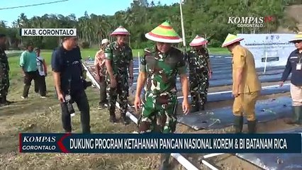 Dukung Program Ketahanan Pangan Nasional, Korem 133 Nani Wartabone dan Bank Indonesia Batanam Rica