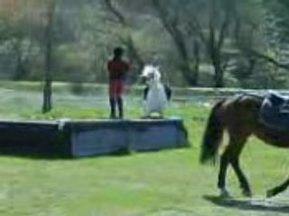 Le cheval qui illumine ma vie