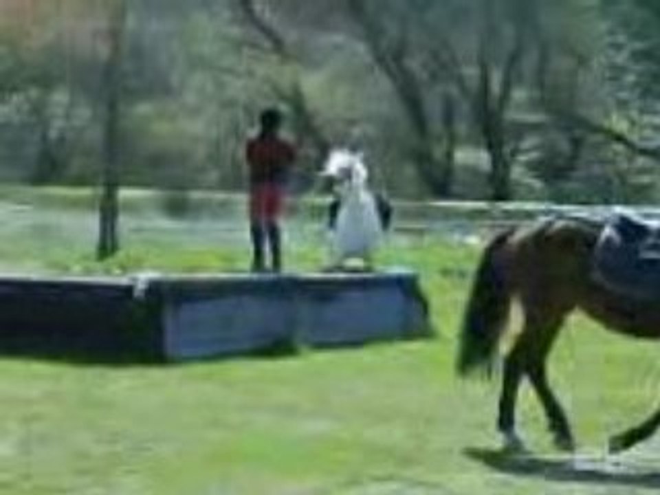 Le cheval qui illumine ma vie