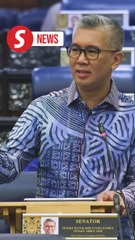Decision on any foreign currency for trade will be in country's best interests, Dewan Rakyat told
