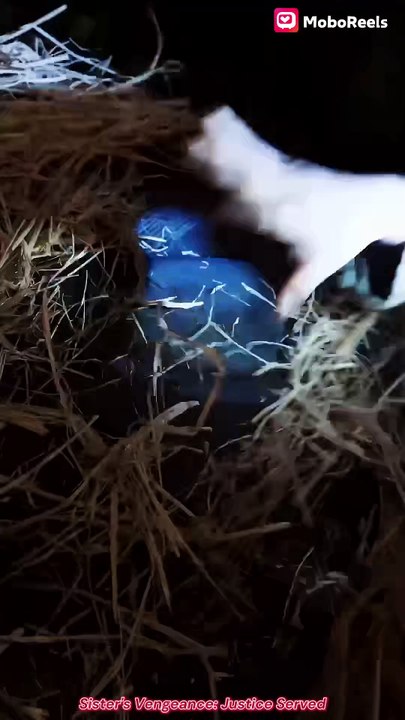 The twins Kate and Rosanna had been taking care of each other since childhood. To save Rosanna's life, Kate gave the only chance at happiness. Many years later, when Rosanna successfully returned and learned that Kate had been almost bullied to death by a