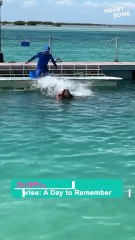 Dolphins Playfully Lift Swimmer for a Thrilling Ocean Surprise!