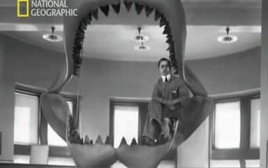 Monstruos Marinos: Los Tiburones que Dominaron los Océanos