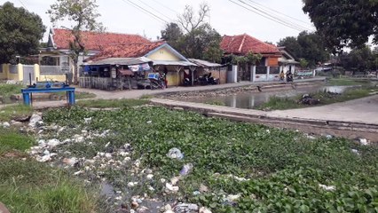 Sampah Menumpuk di Pintu Air Karangampel Kidul