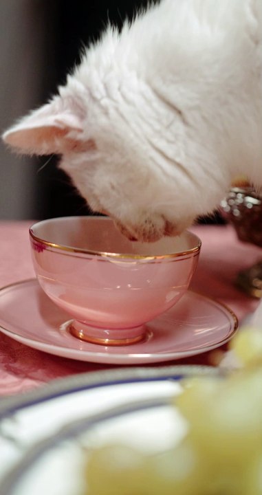 A cozy scene unfolds in a warmly lit kitchen. On a wooden table sits a delicate porcelain tea cup,