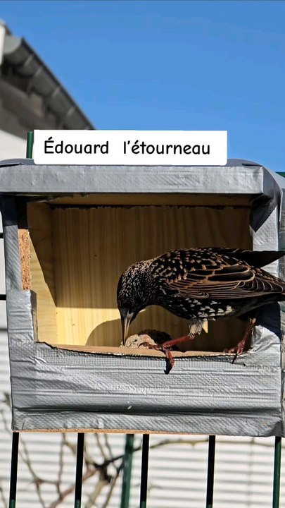 Voici ma nouvelle vidéo