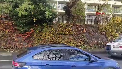 İstanbul- Maçka Parkı'nda bir kişi başından vurulmuş halde bulundu