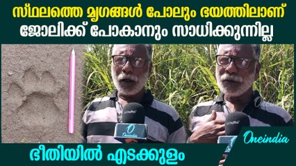 പുലി പരിസരത്ത് തന്നെ ഉണ്ടാകാൻ സാധ്യത, വനം വകുപ്പിൽ പൂർണ വുശ്വാസമെന്നും നാട്ടുകാർ