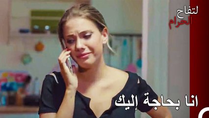 يلدز بحاجة لدعم زينب - التفاح الحرام الحلقة ال 37