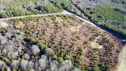 Stunning Mountain Waterfront Property for Sale | 4 Acres of Land in Georgia