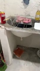 Casal faz churrasco em lugar inusitado