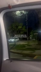 La reacción de una mujer al encontrar una cucaracha mientras conducía 