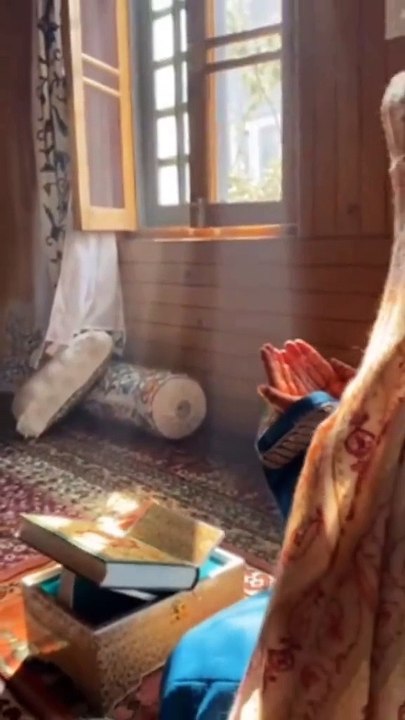 Salami video