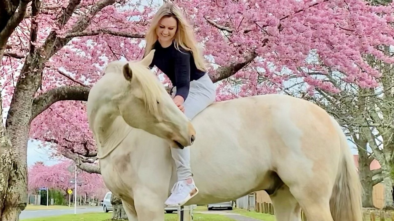 „Ich war gelähmt, als mein Pferd auf mich fiel – sehen Sie, wie ich wieder laufen lerne“