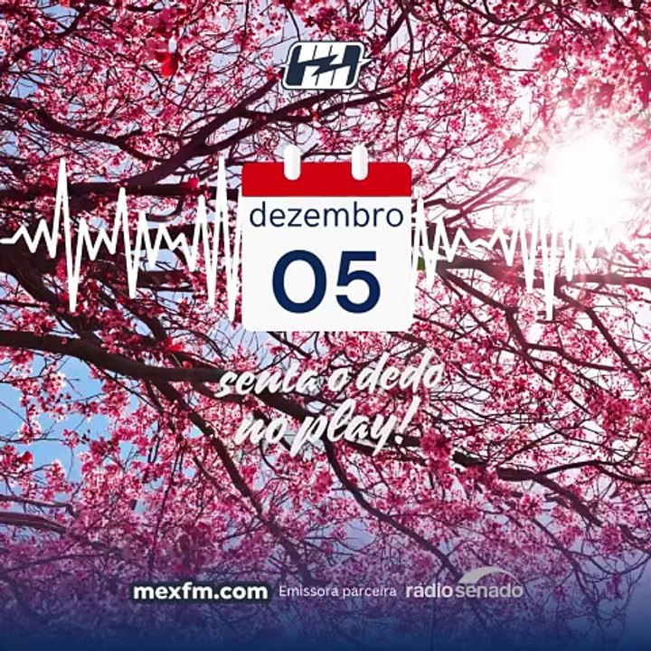 Bom dia (05/Dez/2024)