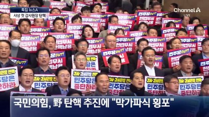 감사원장·중앙지검장·검사 3명 탄핵안 통과