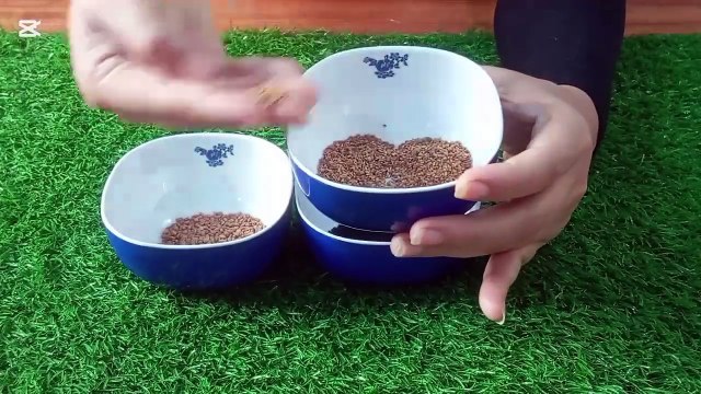 Hair fall problems long thick shiny hair Hair Growth oil esay homemade remedy