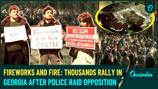 VIDEO| Tbilisi Clashes: Georgia Protesters Throw Eggs at Police, Storm Parliament with EU Flags